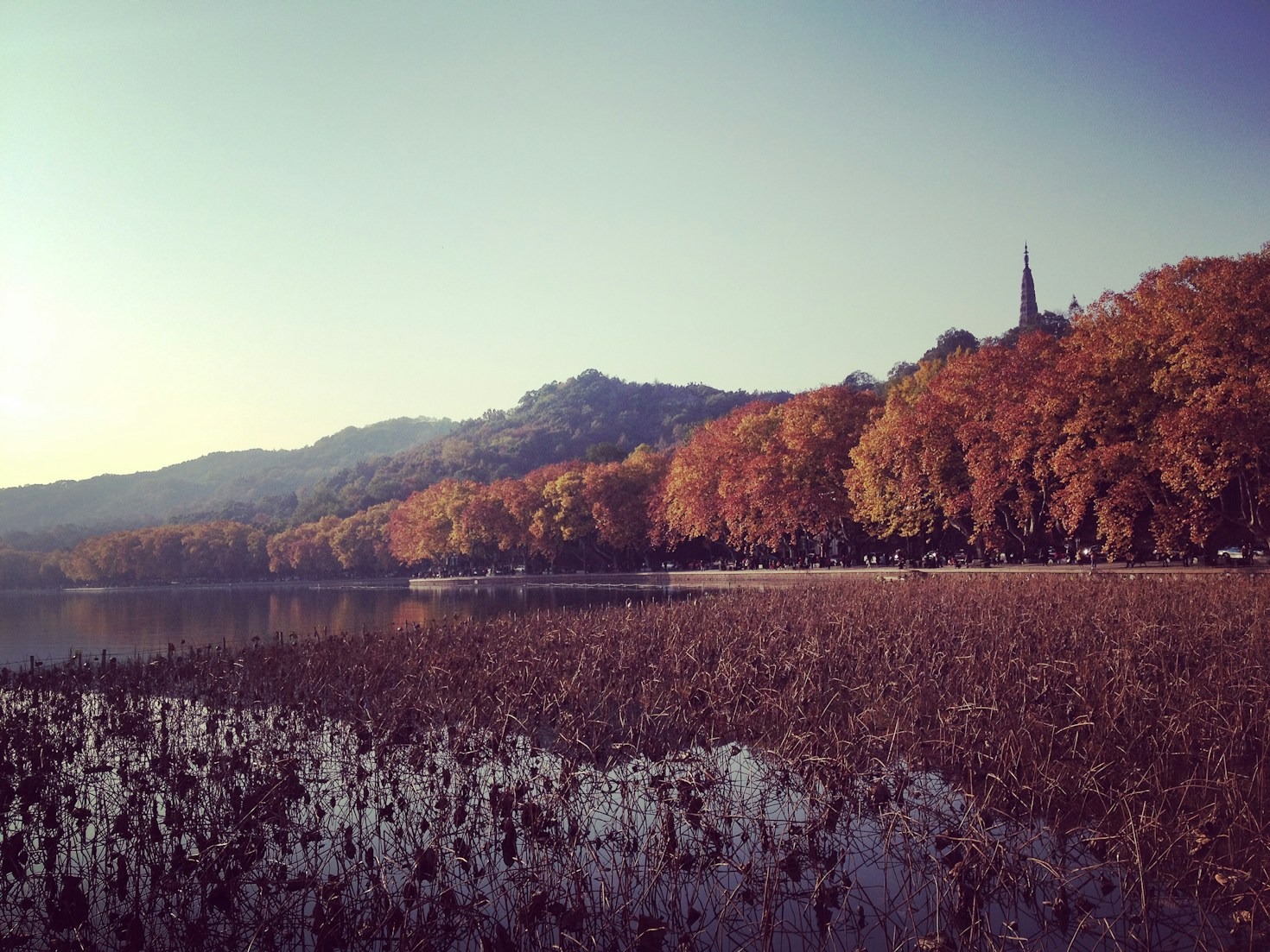 Hidden Destinations for Locals in Hangzhou